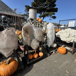 Styx, Stones, n' Bones