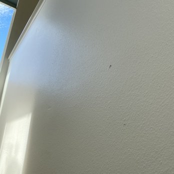 TierOne Movers - Movers Near Me - San Diego, California