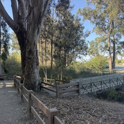 Monarch Grove Winery Tasting Room - The breach from the State Ground to the Grove.