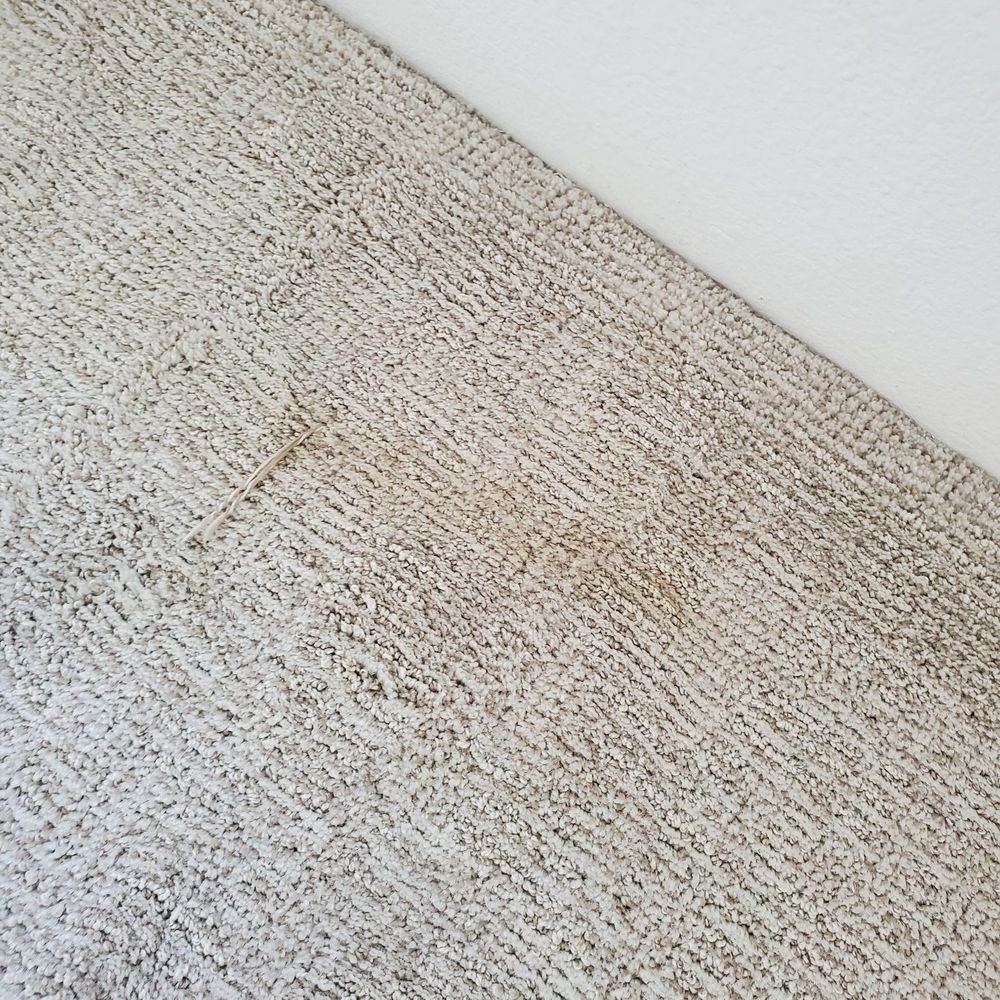 Da-Cotton Klining Services - Carpet stain - Home Cleaning Near Me - Honolulu, Hawaii