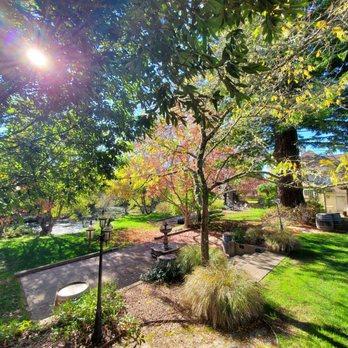 Fieldbrook Winery - the sun shining through the trees - Wineries Near Me - McKinleyville, California