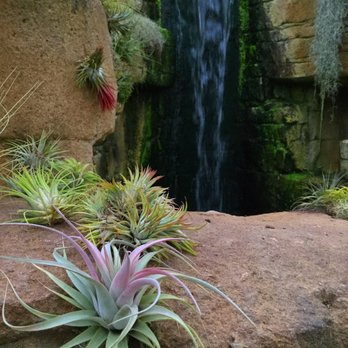 Rainforest Flora - Nurseries & Gardening Near Me - Torrance, California Rainforest Flora - Nurseries & Gardening Near Me - Torrance, California