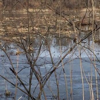 Hamilton-Trenton Marsh - Hiking Near Me - Princeton, New Jersey Hamilton-Trenton Marsh - Hiking Near Me - Princeton, New Jersey