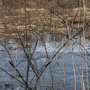 Photo of Hamilton-Trenton Marsh