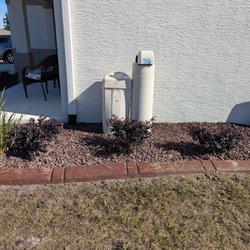 Froggys Landscaping - Froggy's removed existing plant and replaced with these beautiful shrubs.