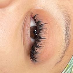 Eyemazing Beauty Bar - Lashes