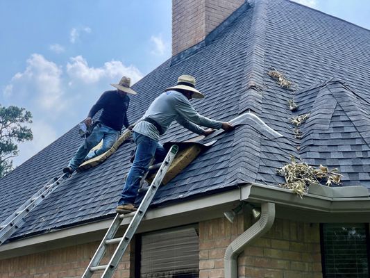 Professional Roofing Services