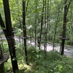 Go Ape Zipline & Adventure Park