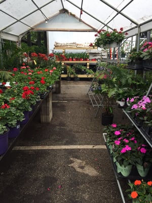 Farmers market in Kirkwood by null