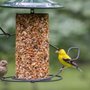 Photo of Wild Birds Unlimited