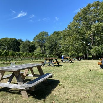 Greenvale Vineyards - No seating inside the building, but tons of socially distant benches for small groups. - Wineries Near Me - Portsmouth, Rhode Island