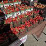 North York Civic Centre Farmers' Market