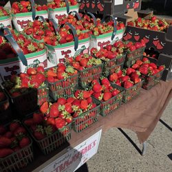 North York Civic Centre Farmers' Market