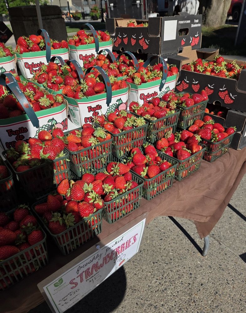 North York Civic Centre Farmers' Market Logo