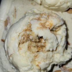 The Daily Scoop - Butter pecan