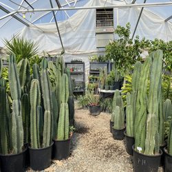 Little Eden Plantscaping