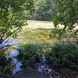 Laurel Hills Park