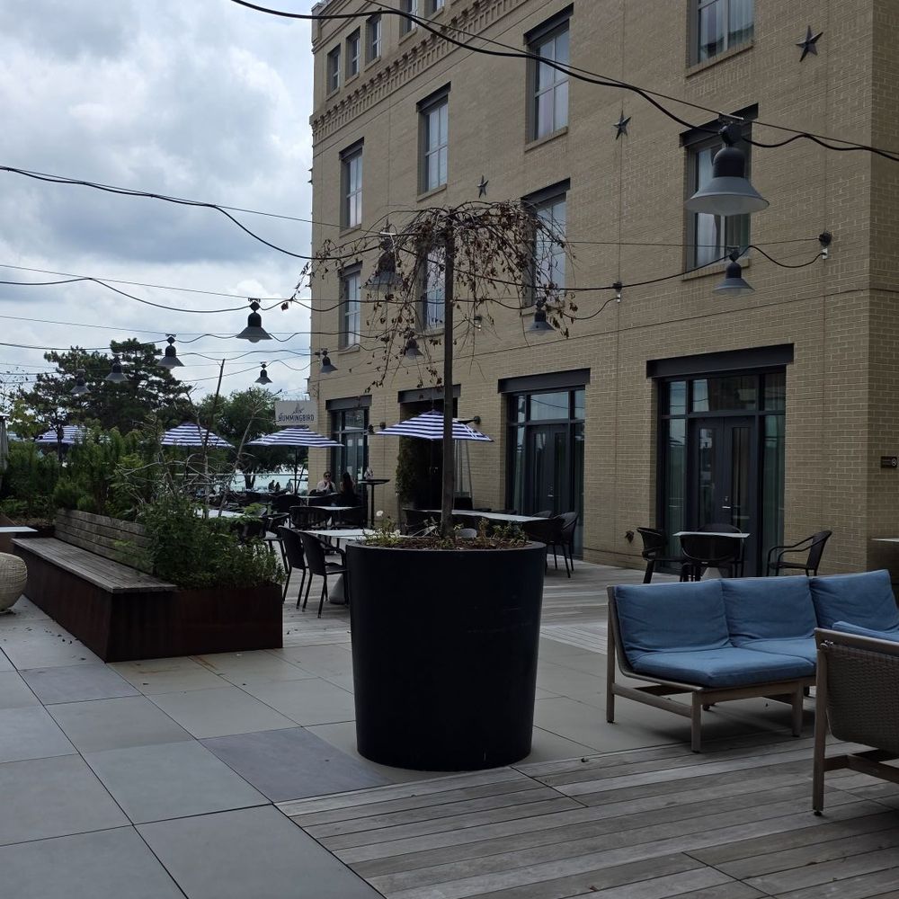 Hummingbird Bar & Kitchen - New American Near Me - Alexandria, Virginia Hummingbird Bar & Kitchen - New American Near Me - Alexandria, Virginia