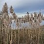 Photo of Cattus Island Park
