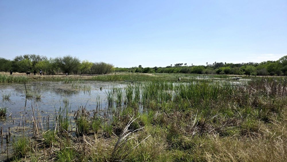 Estero Llano Grande State Park Logo