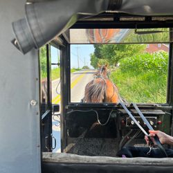Abe's Buggy Rides