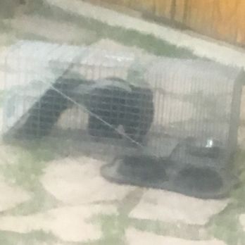 Primate Pest Elimination - Pest Control Near Me - Valencia, California
