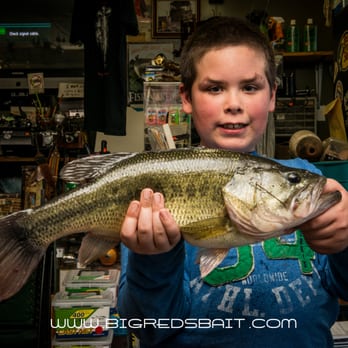 Bigreds Bait & Tackle - bigredsbait.com - Outdoor Gear Near Me - Springfield, Illinois