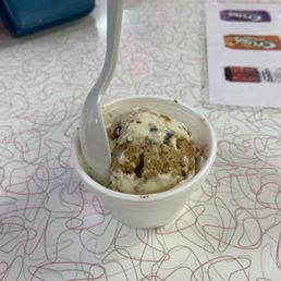 Oatmeal chocolate chip ice cream