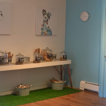 Paw Place - Let your dog sniff around! They'll be sure to tell you which treat is their favorite. - Pet Stores Near Me - Fairhaven, Massachusetts