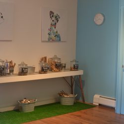 Let your dog sniff around! They'll be sure to tell you which treat is their favorite.