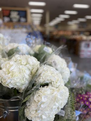 Trader Joe's by null