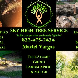 Sky High Tree Service