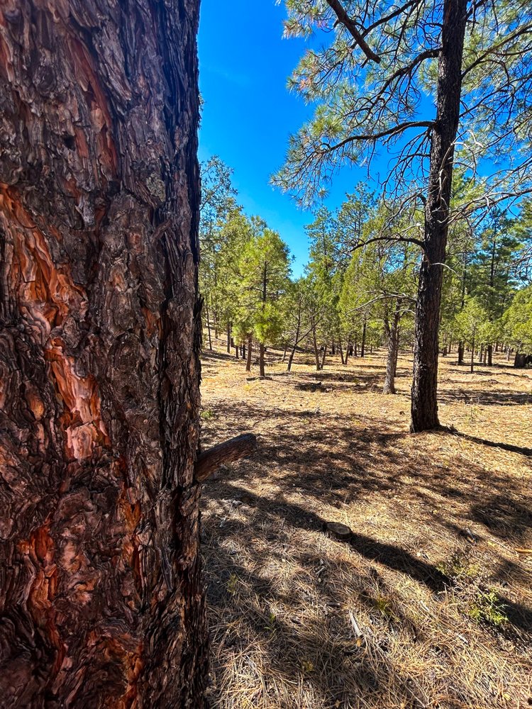 WOODSIDE RV RESORT Updated October 2024 10 Photos 3850 Vacation