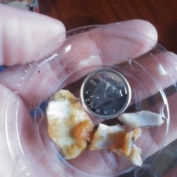 Ken's Seafood & Pizza - Clam shells found in food