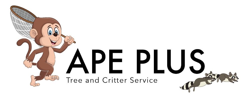 Ape Plus Tree and Critter Service - tree service in Louisville, KY