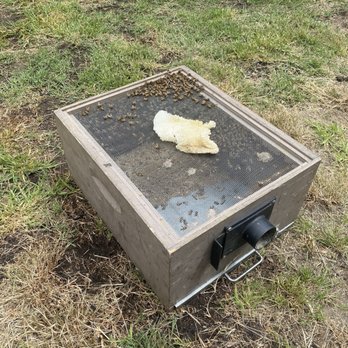 MJC Live Bee removal - Pest Control Near Me MJC Live Bee removal - Pest Control Near Me
