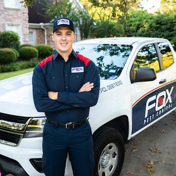 Fox Pest Control Chicopee - Pest Control Near Me - Chicopee, Massachusetts Fox Pest Control Chicopee - Pest Control Near Me - Chicopee, Massachusetts