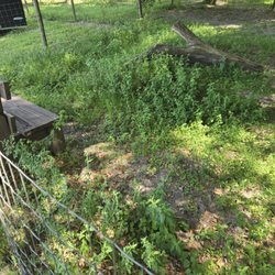 Wildwood Rv Park & Campground