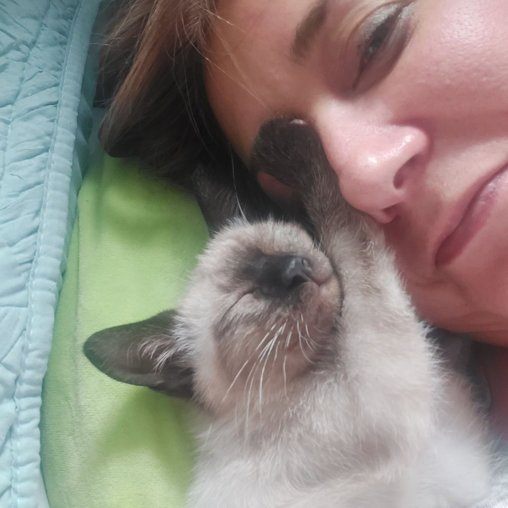 Helen Sanders CatPAWS - Animal Shelters Near Me - Seal Beach, California