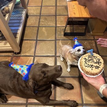 Three Dog Bakery Encino - Good dogs! - Pet Stores Near Me - Los Angeles, California Three Dog Bakery Encino - Good dogs! - Pet Stores Near Me - Los Angeles, California