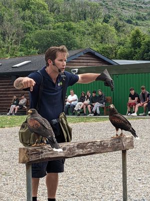 Aillwee Burren Experience by null