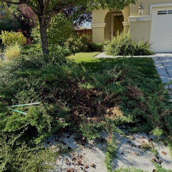 Sheckles Lawncare - Lawn Services Near Me - Houston, Texas Sheckles Lawncare - Lawn Services Near Me - Houston, Texas