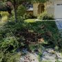 Photo of Sheckles Lawncare