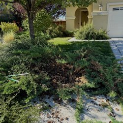 Sheckles Lawncare