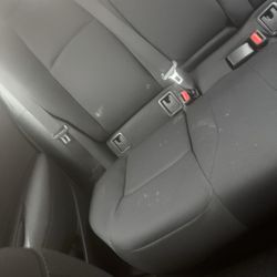 Payless Car Rental - Back seat