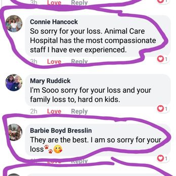 Animal Care Hospital - Veterinarians Near Me - Lompoc, California Animal Care Hospital - Veterinarians Near Me - Lompoc, California