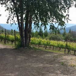 Larch Hills Winery