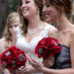 Diane Harvey Photography