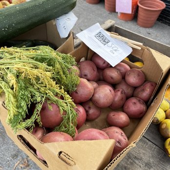 Olson Farms - Potatoes and flowers available - Farmers Market Near Me - Oakland, California Olson Farms - Potatoes and flowers available - Farmers Market Near Me - Oakland, California