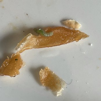 Yard House - Moving fungus and someone's hair in my nachos I fully ate - Bars Near Me - Long Beach, California